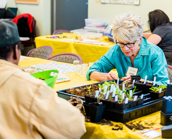 Dottie planting at Earthlinks