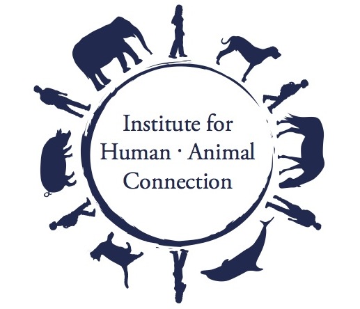 animals surrounding institute for human-animal connection words