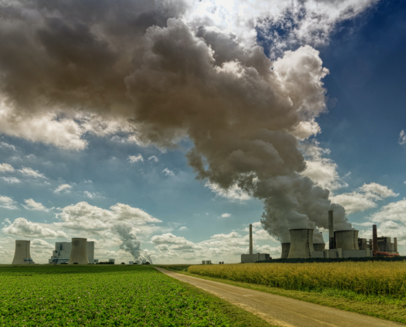 coal plants and monocrops