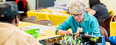 Administration on Aging