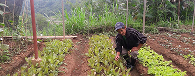 Friends of enca Farm