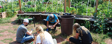people gardening