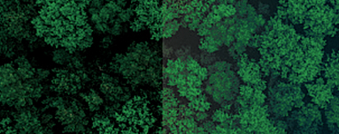 Ecosocial Work
