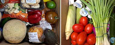 vegetable basket