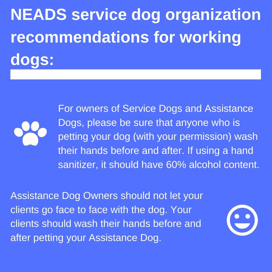 NEADS