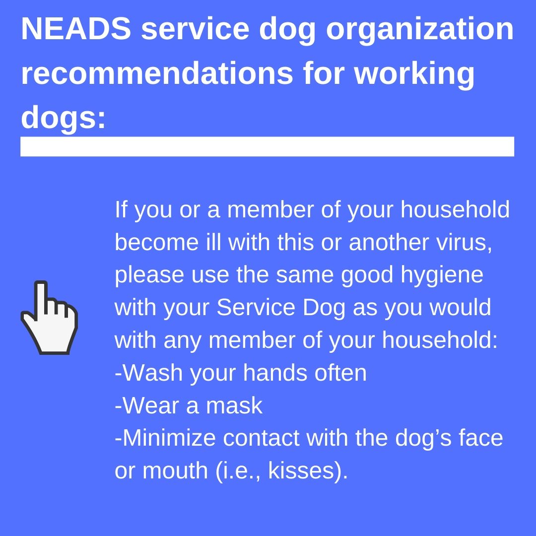 NEADS 2