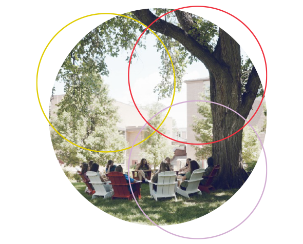 Students holding class under tree at Denver campus