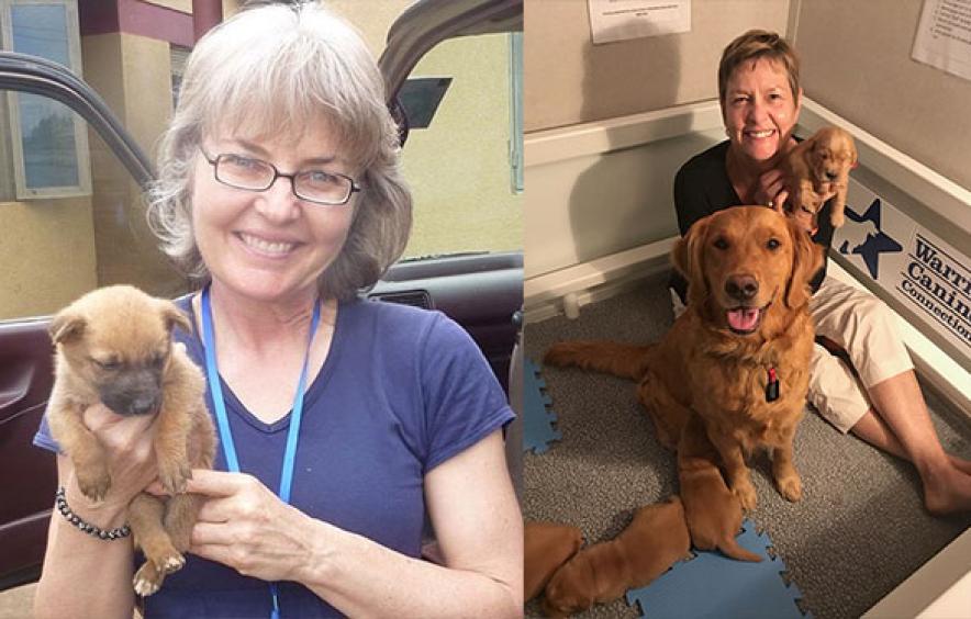 woman holding a dog on left, woman sitting with a dog on right