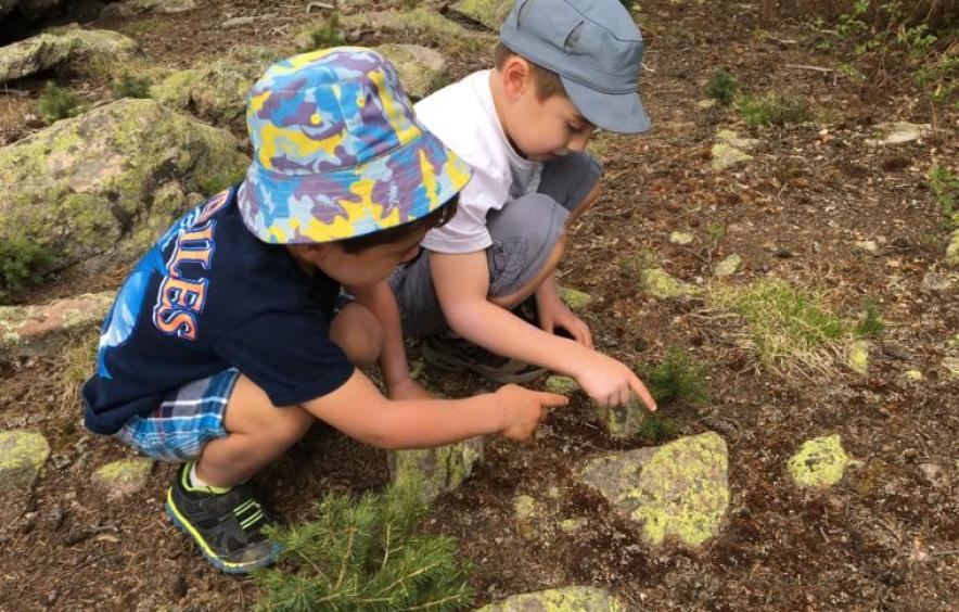 Two young boys exploring nature