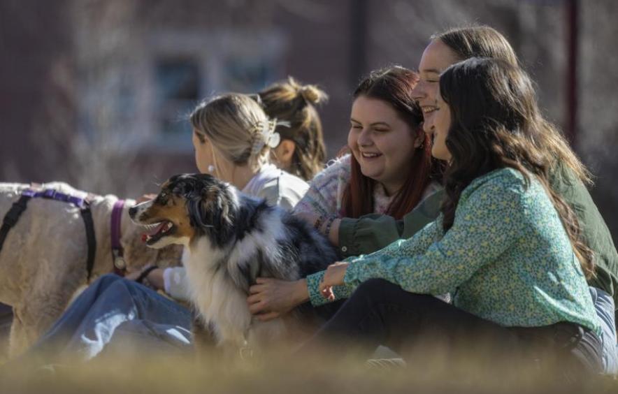 group of women petting dog