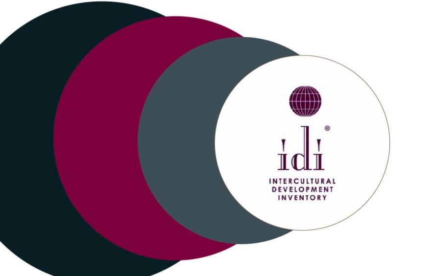 IDI logo