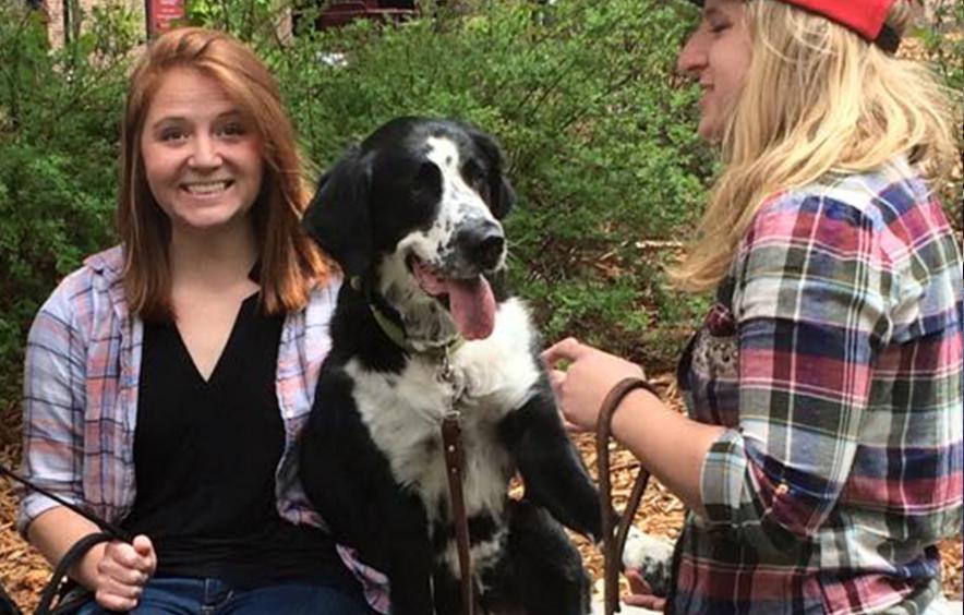 Students with therapy dog