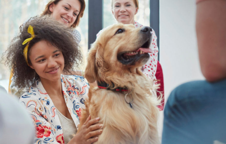 Young woman with therapy dog in a classroom