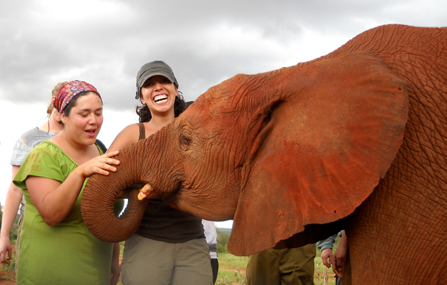 two people petting an elephant