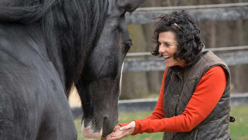 Lisa Daigle holding hands out to horse. 