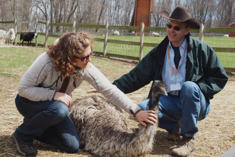 MSW student petting emu at Green Chimneys