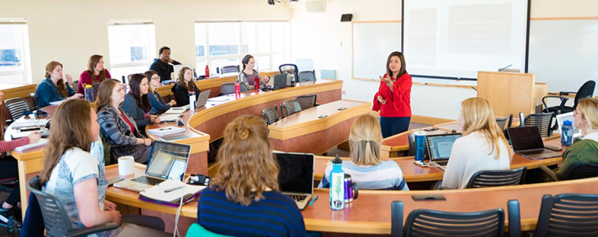professor teaching a class