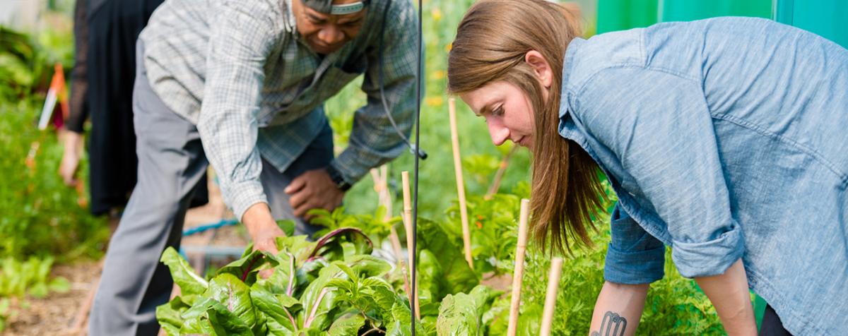 woman working with plants