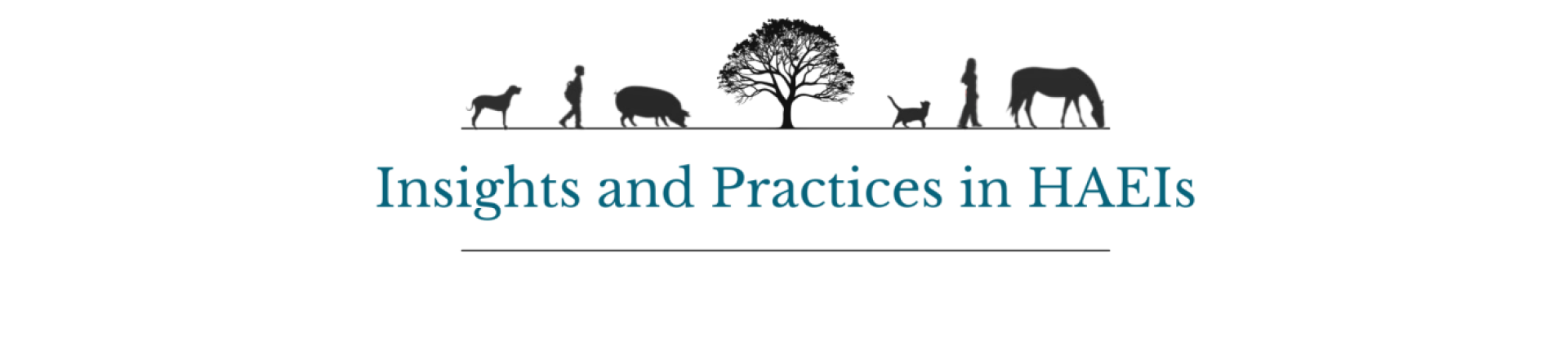 Practitioner series logo: Insights and Practices in HAEIs