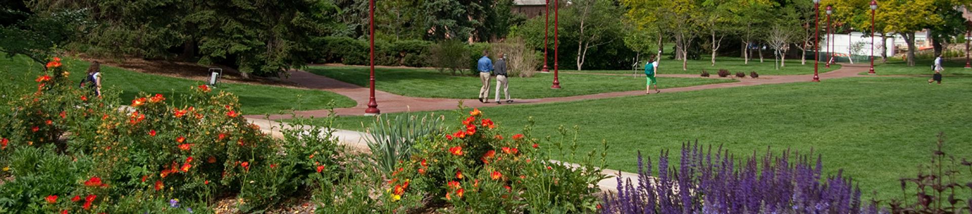 Denver Campus Flowers
