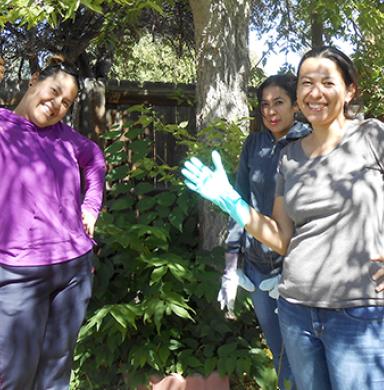 Timebank volunteers